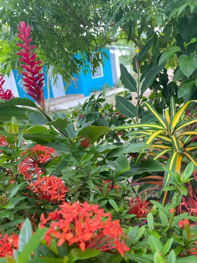 El Descanso Homestay